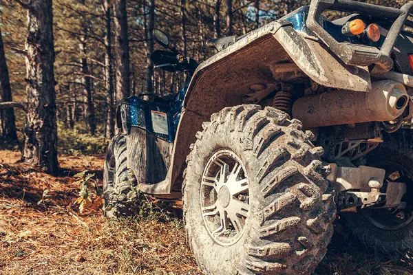 ATV med kraftige terrengdekk i skogen