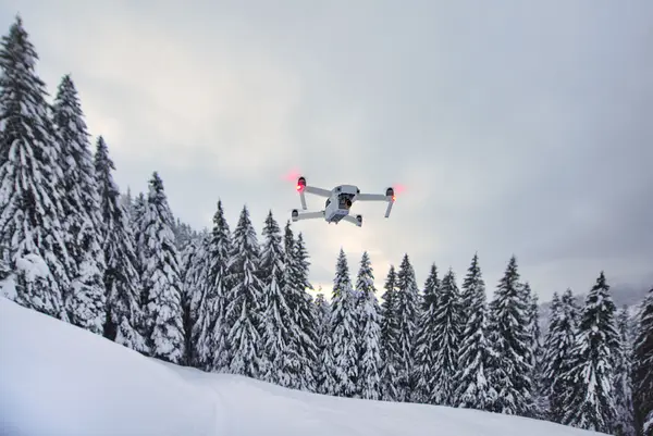 Drone i lufta over snødekt granskog