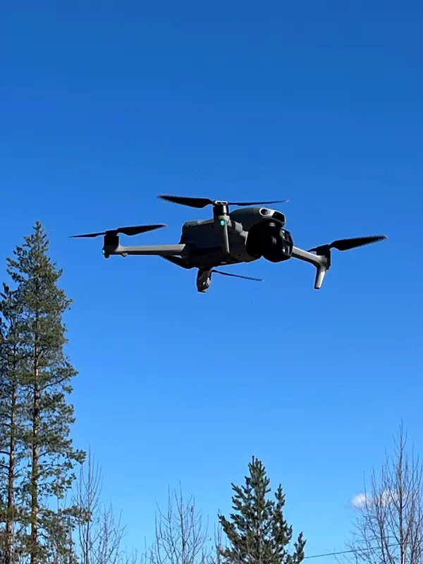 Drone mot blå himmel over furuskog
