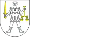 Kongsberg kommune